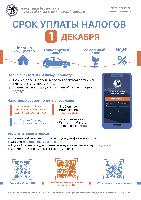 Срок уплаты налогов!