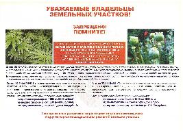 Ответственность по конопле