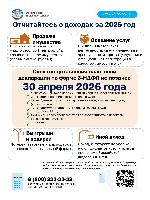 Отчетность о доходах за 2025 г