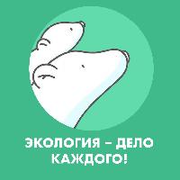 «Экология – дело каждого» – это международная детско-юношеская премия Росприроднадзора за интересные, нестандартные, креативные идеи, инициативы