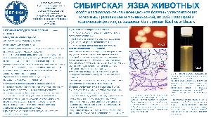СИБИРСКАЯ ЯЗВА ЖИВОТНЫХ